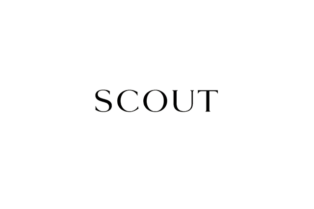 SCOUT